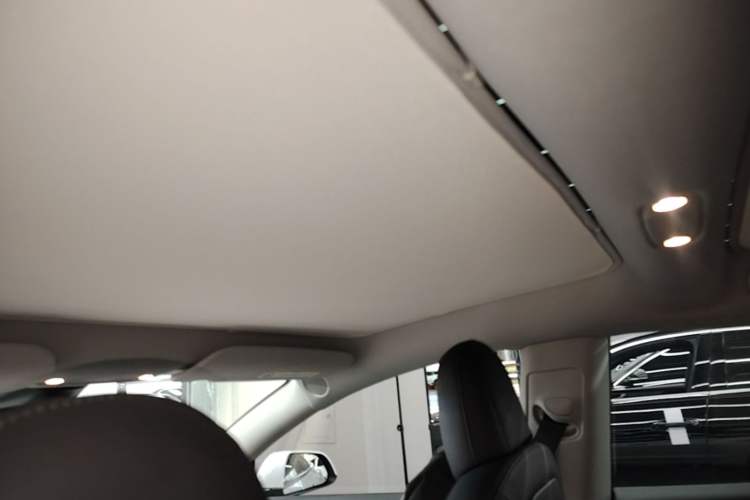 Used Tesla Model 3 2021 Performance High-Performance All-Wheel-Drive Version Headliner