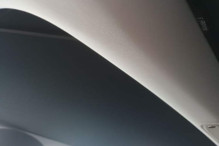 Used Tesla Model 3 2021 Standard Range Rear-Drive Upgraded Version Headliner