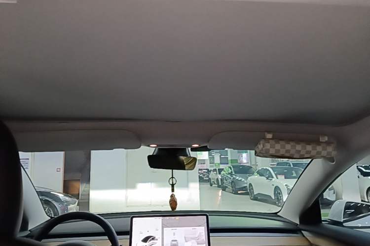 Used Tesla Model 3 2021 Standard Range Rear-Drive Upgraded Version Headliner