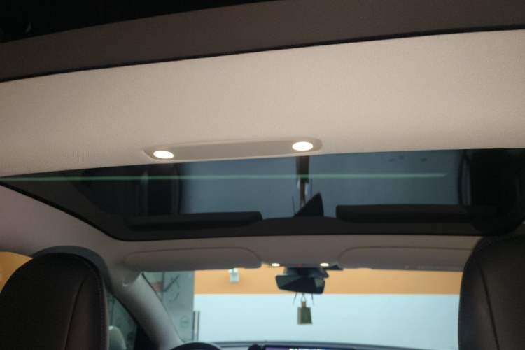 Used Tesla Model 3 2021 Performance High-Performance All-Wheel-Drive Version Headliner