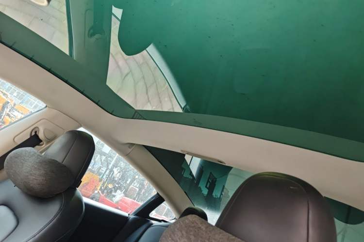 Used Tesla Model 3 2021 Performance High-Performance All-Wheel-Drive Version Headliner
