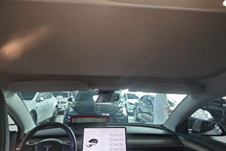 Used Tesla Model 3 2021 Standard Range Rear-Wheel Drive Upgraded Version 3D6 Headliner