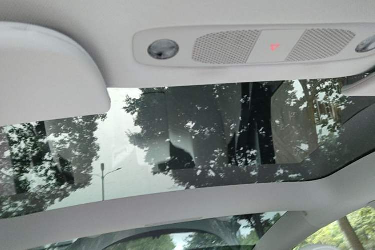 Used Tesla Model 3 2021 Performance High-Performance All-Wheel-Drive Version Headliner
