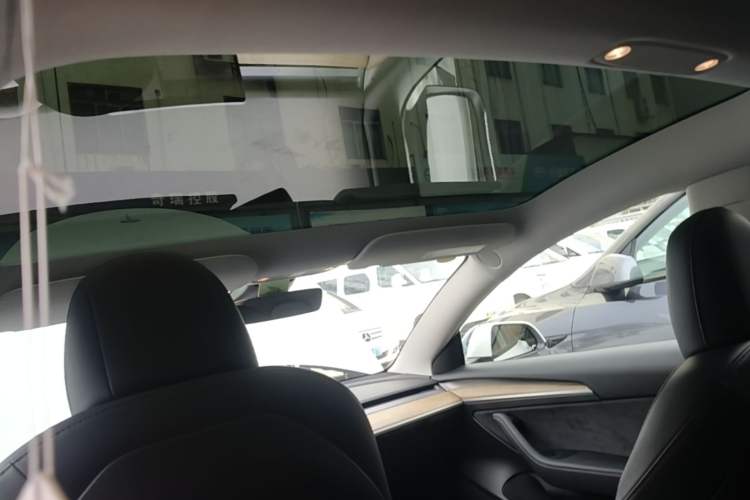 Used Tesla Model 3 2021 Revised Version Standard Range Rear-Wheel Drive Upgraded Edition 3D1 Headliner