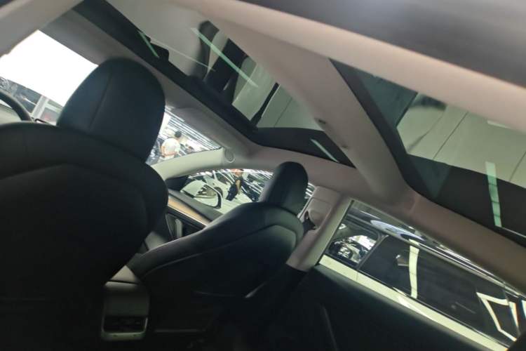 Used Tesla Model 3 2021 Revised Version Standard Range Rear-Wheel Drive Upgraded Edition 3D1 Headliner