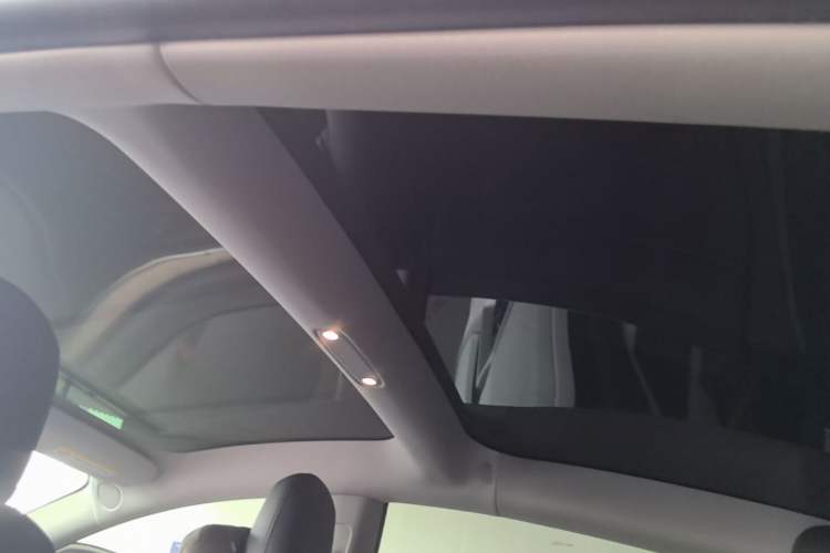 Used Tesla Model 3 2021 Standard Range Rear-Drive Upgraded Version Headliner
