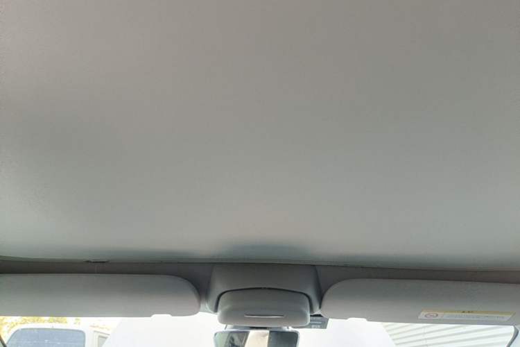 Used Tesla Model 3 2021 Standard Range Rear-Wheel Drive Upgraded Version 3D6 Headliner