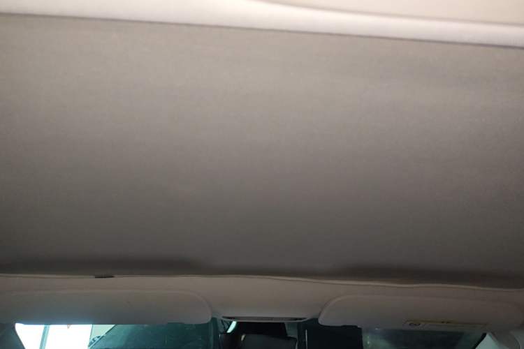 Used Tesla Model 3 2021 Standard Range Rear-Wheel Drive Upgraded Version 3D6 Headliner