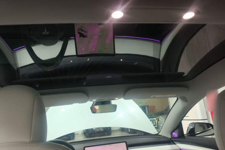 Used Tesla Model 3 2021 Revised Version II – Performance High-Performance All-Wheel-Drive Edition Headliner