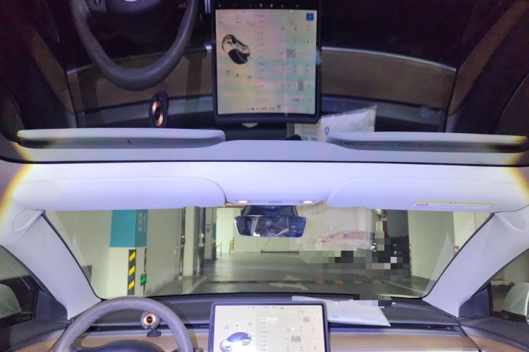 Used Tesla Model 3 2021 Performance High-Performance All-Wheel-Drive Version Headliner