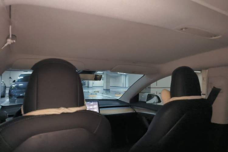 Used Tesla Model 3 2021 Standard Range Rear-Wheel Drive Upgraded Version 3D6 Headliner