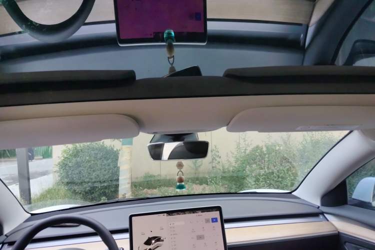 Used Tesla Model 3 2021 Performance High-Performance All-Wheel-Drive Version 3D6 Headliner