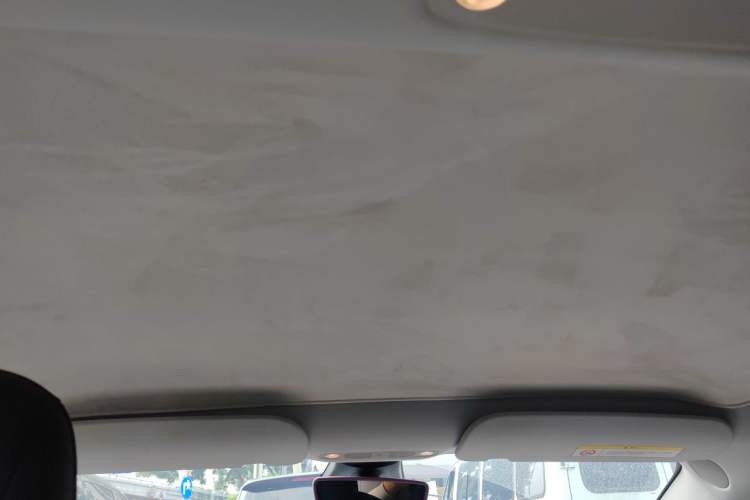 Used Tesla Model 3 2021 Standard Range Rear-Drive Upgraded Version Headliner