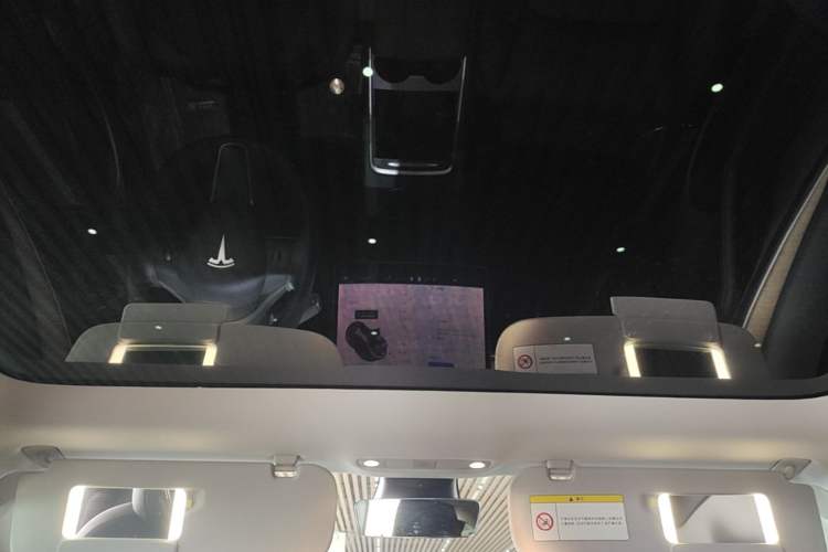 Used Tesla Model 3 2021 Standard Range Rear-Drive Upgraded Version Headliner