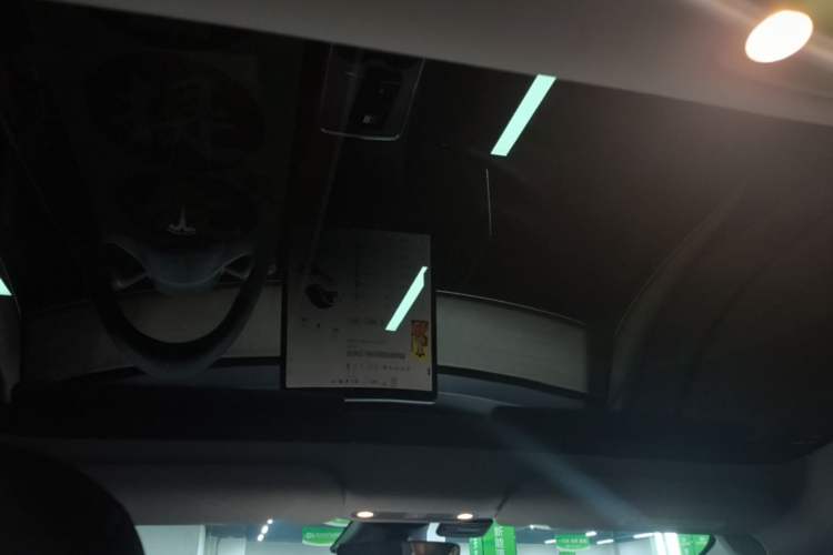 Used Tesla Model 3 2021 Standard Range Rear-Drive Upgraded Version Headliner