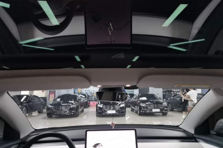 Used Tesla Model 3 2021 Performance High-Performance All-Wheel-Drive Version Headliner