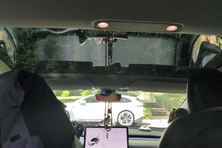 Used Tesla Model 3 2021 Standard Range Rear-Wheel Drive Upgraded Version 3D6 Headliner