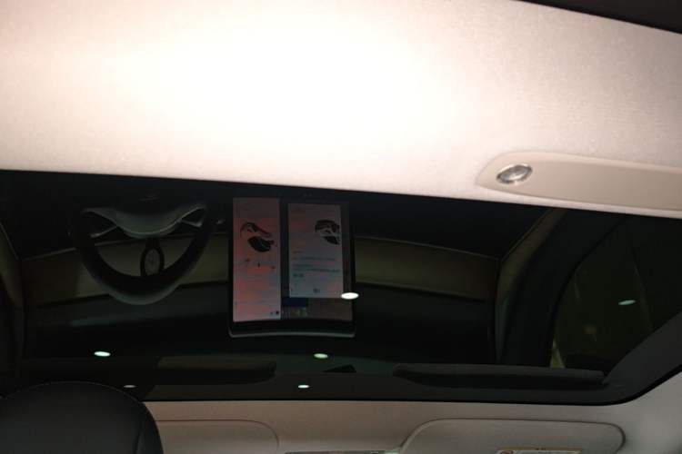 Used Tesla Model 3 2021 Standard Range Rear-Drive Upgraded Version Headliner