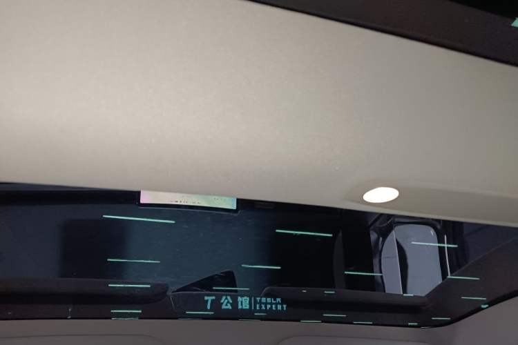 Used Tesla Model 3 2021 Performance High-Performance All-Wheel-Drive Version 3D6 Headliner