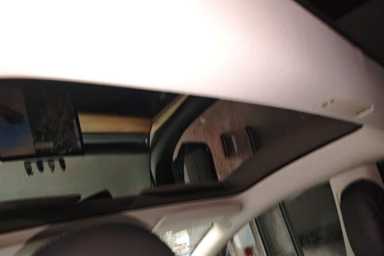 Used Tesla Model 3 2021 Standard Range Rear-Drive Upgraded Version Headliner