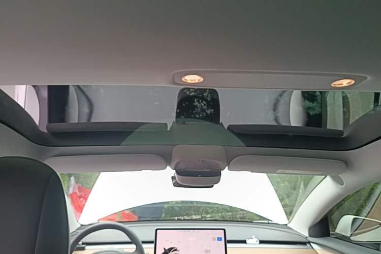 Used Tesla Model 3 2021 Standard Range Rear-Wheel Drive Upgraded Version 3D6 Headliner