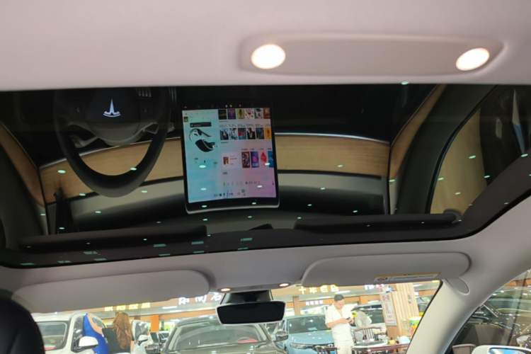 Used Tesla Model 3 2021 Performance High-Performance All-Wheel-Drive Version 3D6 Headliner