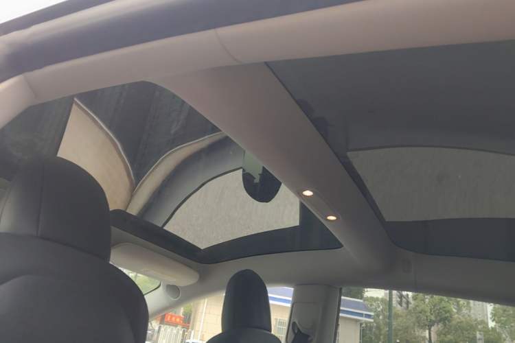 Used Tesla Model 3 2021 Standard Range Rear-Wheel Drive Upgraded Version 3D6 Headliner