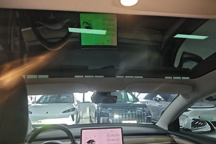 Used Tesla Model 3 2021 Performance High-Performance All-Wheel-Drive Version 3D6 Headliner