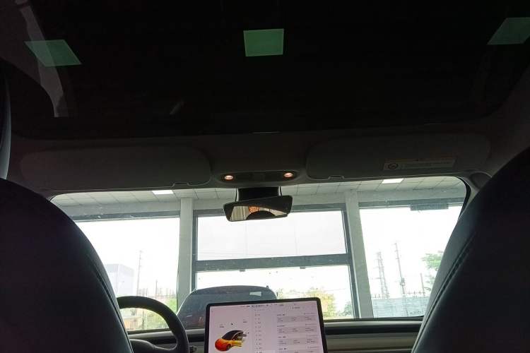 Used Tesla Model 3 2021 Performance High-Performance All-Wheel-Drive Version Headliner