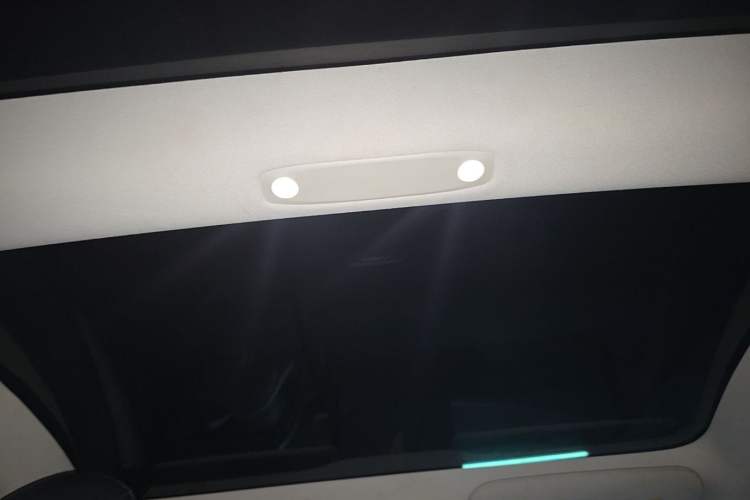 Used Tesla Model 3 2021 Performance High-Performance All-Wheel-Drive Version 3D6 Headliner