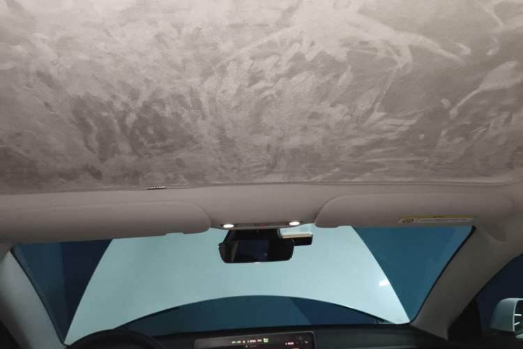 Used Tesla Model 3 2021 Performance High-Performance All-Wheel-Drive Version Headliner