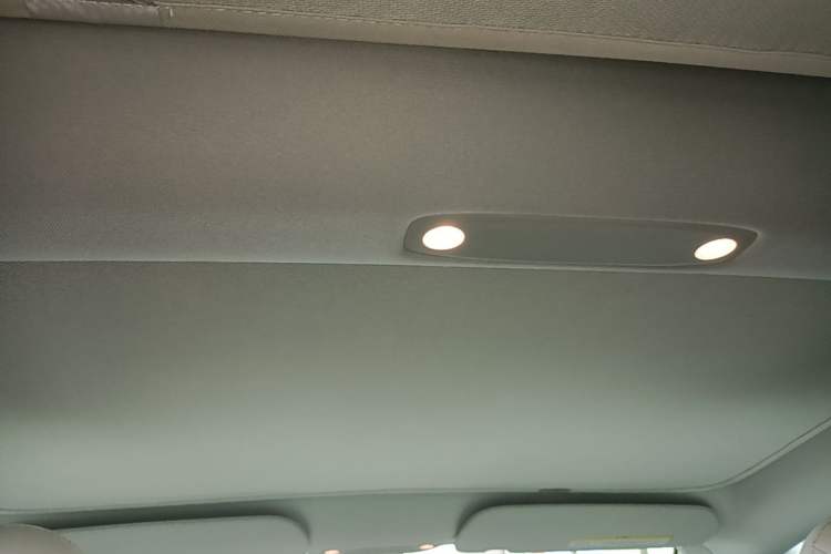 Used Tesla Model 3 2021 Revised Version II – Performance High-Performance All-Wheel-Drive Edition Headliner