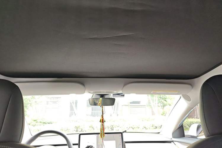 Used Tesla Model 3 2021 Performance High-Performance All-Wheel-Drive Version Headliner