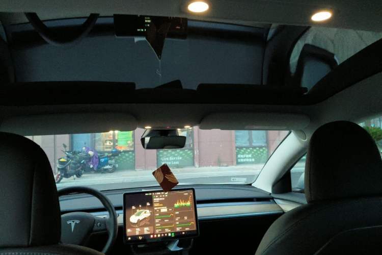 Used Tesla Model 3 2021 Standard Range Rear-Wheel Drive Upgraded Version 3D6 Headliner