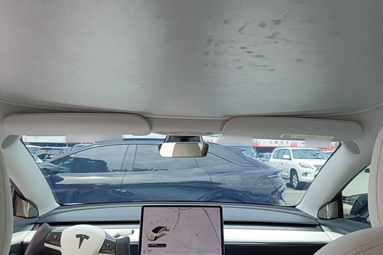 Used Tesla Model 3 2021 Performance High-Performance All-Wheel-Drive Version Headliner