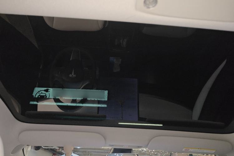 Used Tesla Model 3 2021 Performance High-Performance All-Wheel-Drive Version Headliner