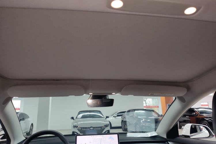 Used Tesla Model 3 2021 Performance High-Performance All-Wheel-Drive Version Headliner