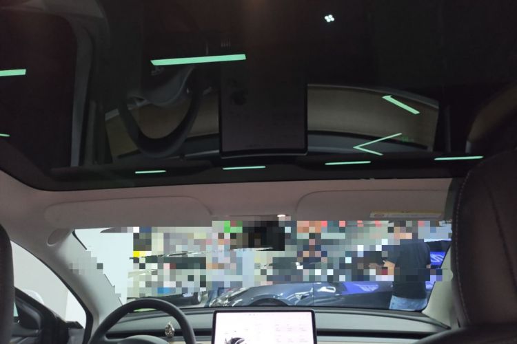 Used Tesla Model 3 2021 Performance High-Performance All-Wheel-Drive Version 3D6 Headliner