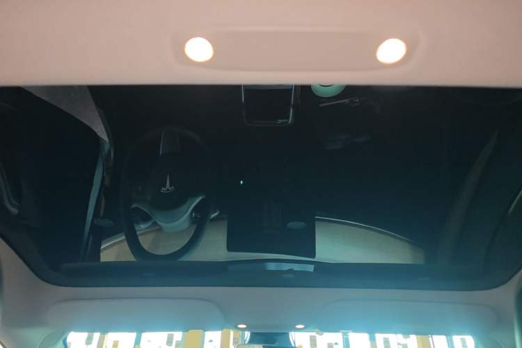 Used Tesla Model 3 2021 Standard Range Rear-Wheel Drive Upgraded Version 3D6 Headliner