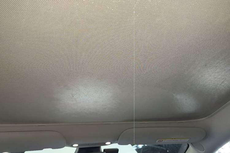Used Tesla Model 3 2021 Standard Range Rear-Drive Upgraded Version Headliner