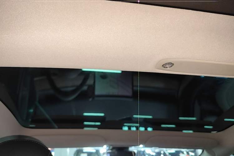 Used Tesla Model 3 2021 Standard Range Rear-Wheel Drive Upgraded Version 3D6 Headliner