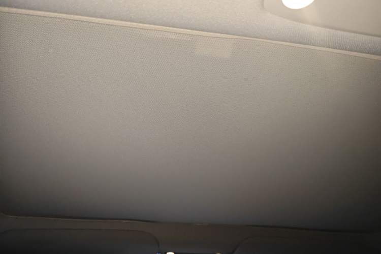 Used Tesla Model 3 2021 Standard Range Rear-Wheel Drive Upgraded Version 3D6 Headliner