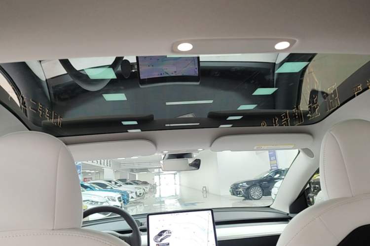 Used Tesla Model 3 2021 Revised Version Standard Range Rear-Wheel Drive Upgraded Edition 3D1 Headliner