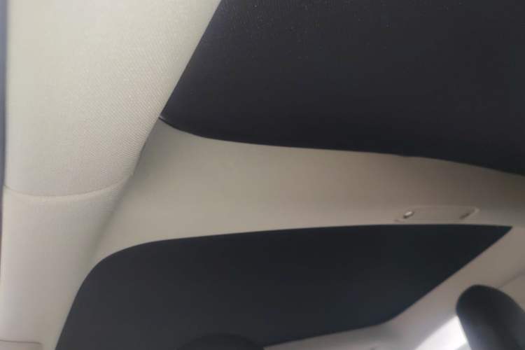 Used Tesla Model 3 2021 Standard Range Rear-Wheel Drive Upgraded Version 3D6 Headliner