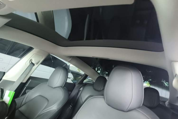 Used Tesla Model 3 2021 Standard Range Rear-Drive Upgraded Version Headliner