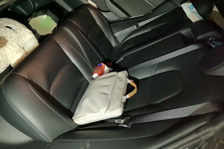 Used Tesla Model 3 2021 Standard Range Rear-Drive Upgraded Version Interior 4