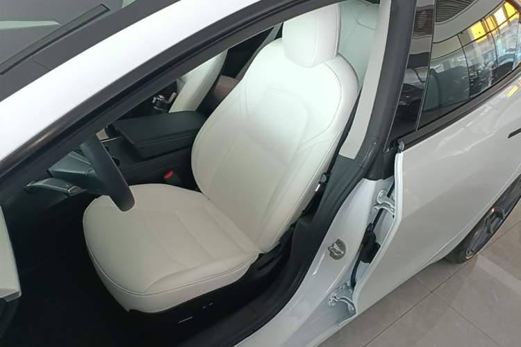 Used Tesla Model 3 2021 Revised Version II – Performance High-Performance All-Wheel-Drive Edition Left Front Seat