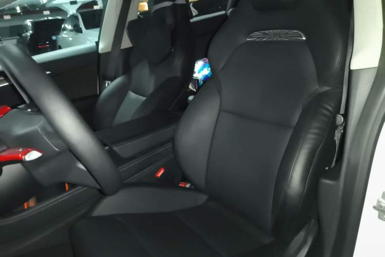 Used Tesla Model 3 2021 Revised Performance Version with All-Wheel Drive 3D1 Left Front Seat