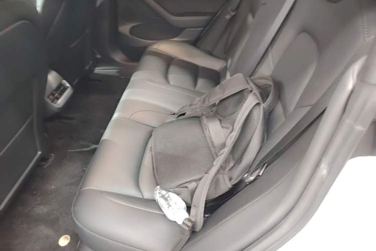 Used Tesla Model 3 2021 Performance High-Performance All-Wheel-Drive Version Left Rear Seat