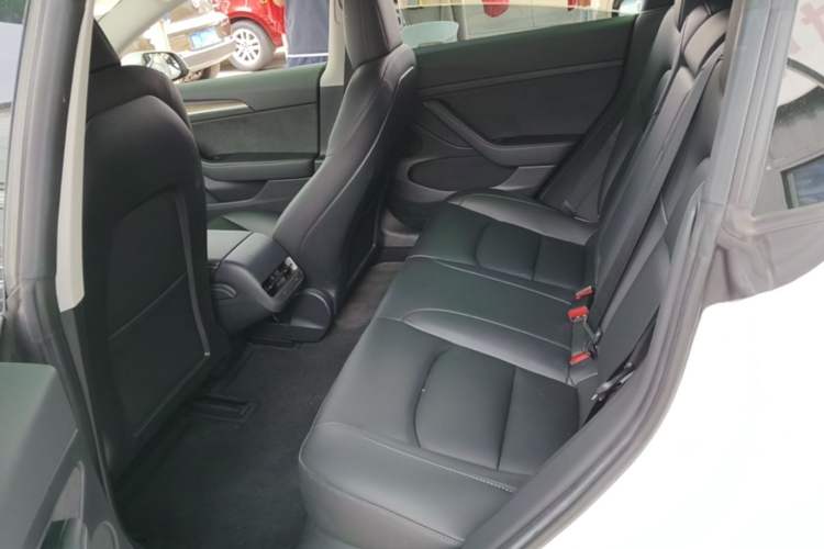 Used Tesla Model 3 2021 Performance High-Performance All-Wheel-Drive Version Left Rear Seat